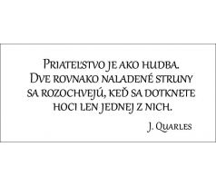 Priateľstvo je ako hudba; dve rovnako naladené struny sa rozochvejú keď sa dotknete hoci len jednej z nich.