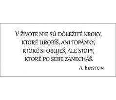 V živote nie sú dôležité kroky, ktoré urobíš, ani topánky, ktoré si obuješ, ale stopy, ktoré po sebe zanecháš.