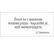Život sa v mnohom podobá jazzu- najlepšie je, keď improvizujete.